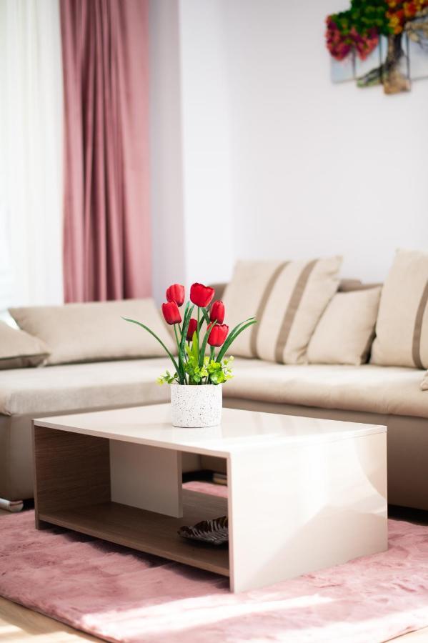 Claseb Apartment Timisoara Bagian luar foto